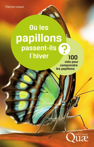 Où les papillons passent-ils l'hiver ? - Patrice Leraut - Quae