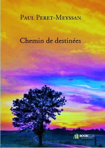 Chemin de destinées - Paul PERET-MEYSSAN - Bookelis