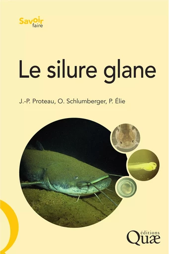 Le silure glane - Olivier Schlumberger, Pierre Elie, Jean-Pierre Proteau - Quae