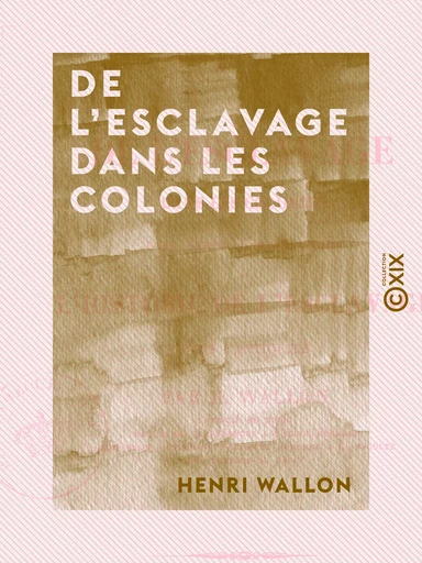 De l'esclavage dans les colonies - Pour servir d'introduction à l'Histoire de l'esclavage dans l'antiquité - Henri Wallon - Collection XIX