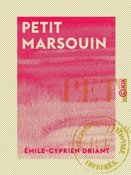 Petit Marsouin - Histoire d'une famille de soldats, 1870-1886