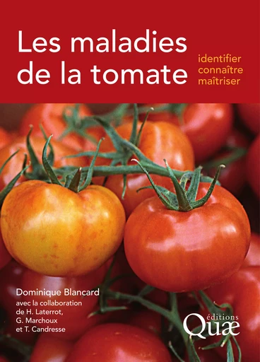 Les maladies de la tomate - Dominique Blancard - Quae