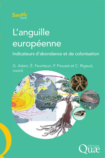 L'anguille européenne - Gilles Adam, Eric Feunteun, Patrick Prouzet, Christian Rigaud - Quae