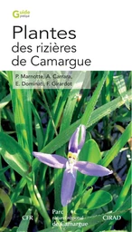 Plantes des rizières de Camargue