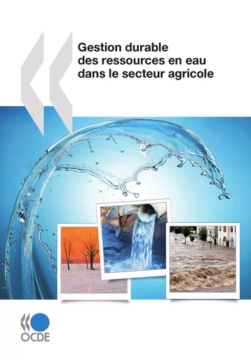 Gestion durable des ressources en eau dans le secteur agricole -  Collectif - OECD