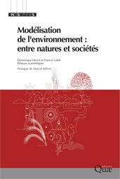 Modélisation de l'environnement : entre natures et sociétés