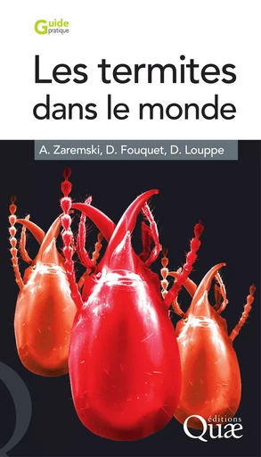 Les termites dans le monde - Daniel Fouquet, Alba Zaremski, Dominique Louppe - Quae