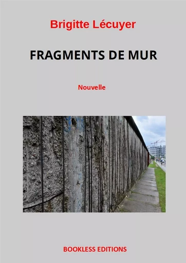 Fragments de mur - Brigitte Lécuyer - Bookless-editions