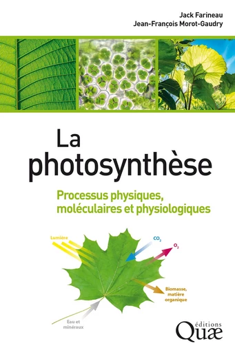 La photosynthèse - Jack Farineau, Jean-François Morot-Gaudry - Quae