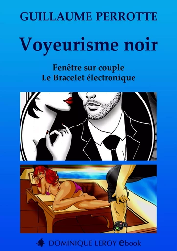 Voyeurisme noir - Guillaume Perrotte - Éditions Dominique Leroy