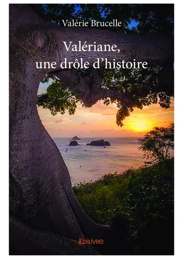 Valériane, une drôle d’histoire - Valérie Brucelle - Editions Edilivre