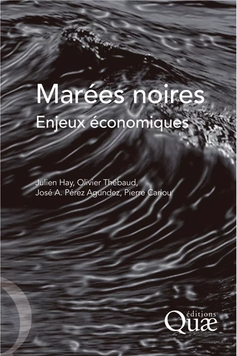 Marées noires - Julien Hay, Olivier Thébaud, José Perez Agundez, Pierre Cariou - Quae