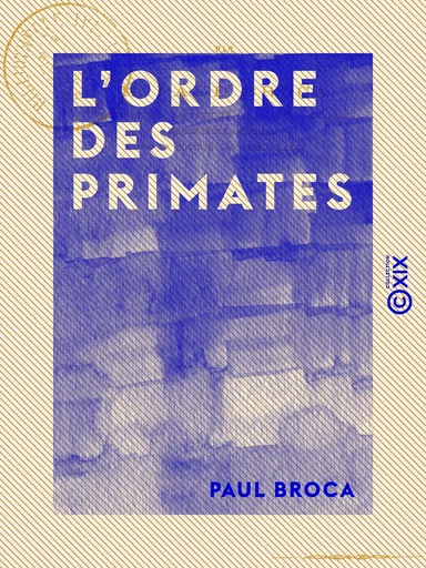 L'Ordre des primates - Parallèle anatomique de l'homme et des singes - Paul Broca - Collection XIX