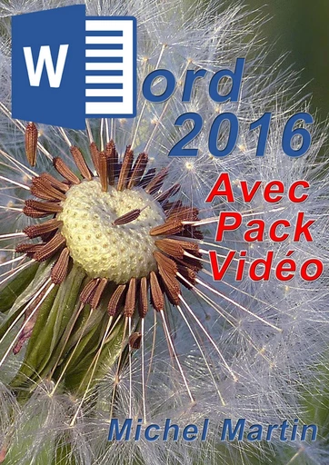 Word 2016 avec pack vidéo - Michel MARTIN - Mediaforma