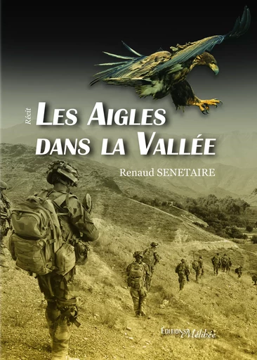 Les aigles dans la vallée - Renaud Senetaire - Les Éditions Mélibée