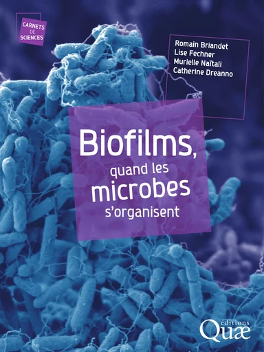 Biofilms, quand les microbes s'organisent - Romain Briandet, Lise Fechner, Muriel Naitali, Catherine Dreanno - Quae