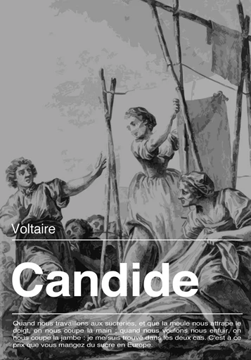 Candide - Voltaire Voltaire - Les éditions Pulsio