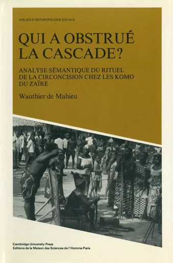 Qui a obstrué la cascade ? - Wauthier de Mahieu - Éditions de la Maison des sciences de l’homme