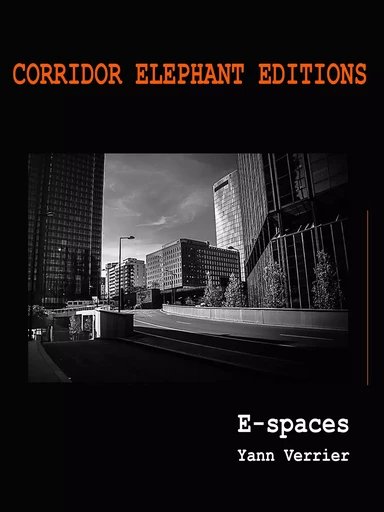 E-spaces - Yann Verrier - Corridor Elephant