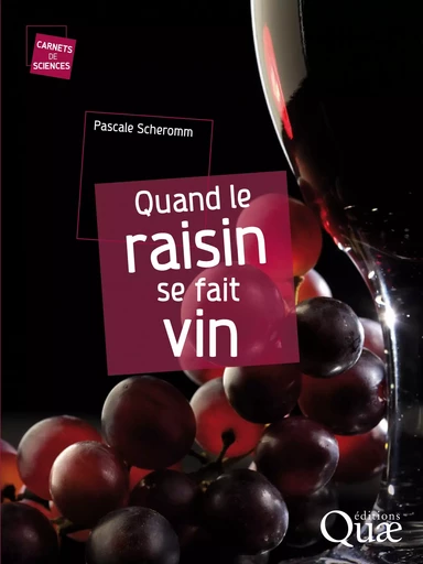 Quand le raisin se fait vin - Pascale Scheromm - Quae