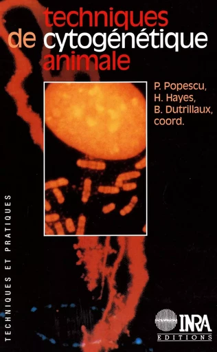 Techniques de cytogénétique animale - Paul Popescu, Hélène Hayes, Bernard Dutrillaux - Quae