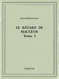 Le bâtard de Mauléon I