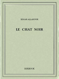 Le chat noir