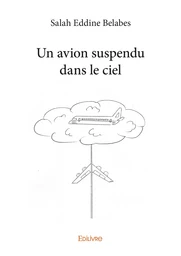 Un avion suspendu dans le ciel