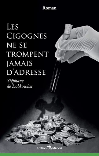 Les cigognes ne se trompent jamais d'adresse - Stéphane De Lobkowicz - éditions Méhari