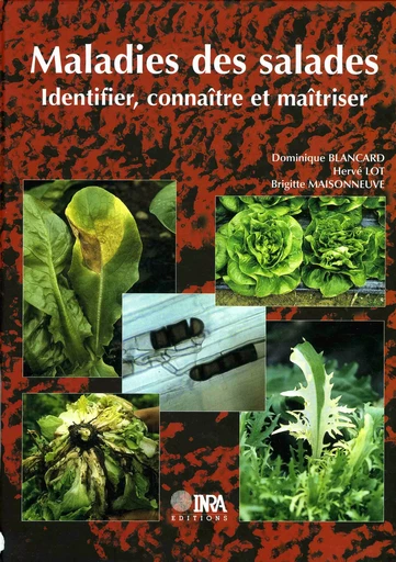 Maladies des salades - Dominique Blancard, Hervé Lot, Brigitte Maisonneuve - Quae