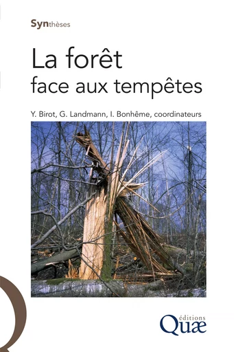 La forêt face aux tempêtes - Yves Birot, Guy Landmann, Ingrid Bonhême - Quae