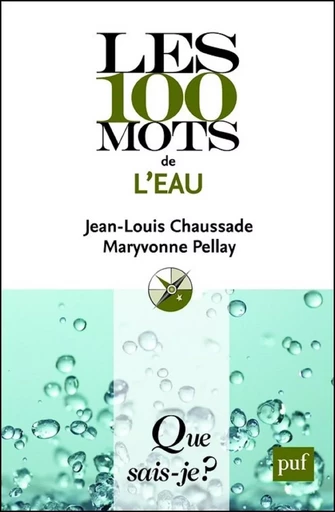 Les 100 mots de l'eau - Maryvonne Pellay, Jean-Louis Chaussade - Humensis