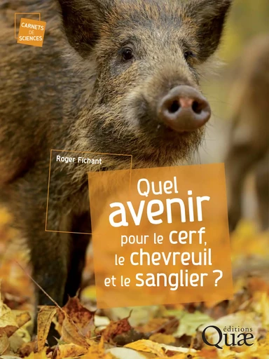 Quel avenir pour le cerf, le chevreuil et le sanglier ? - Roger Fichant - Quae