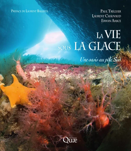 La vie sous la glace - Tréguer Paul, Chauvaud Laurent, Amice Erwan - Quae