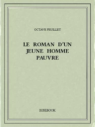 Le roman d'un jeune homme pauvre