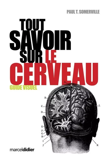 Tout savoir sur le cerveau - Paul T. Somerville - Éditions Hurtubise