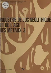 Industrie de l'os néolithique et de l'âge des métaux (3)