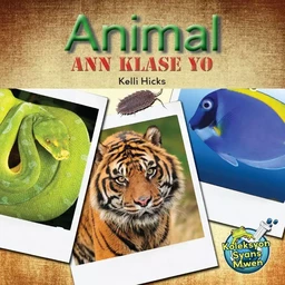 Animal Ann Klase Yo / Let's Classify Animals