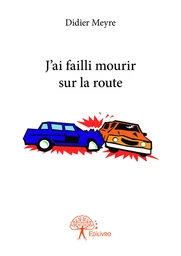 J'ai failli mourir sur la route