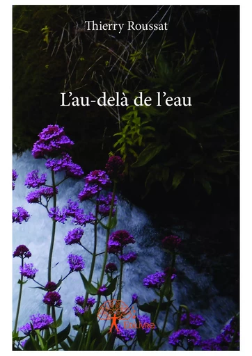 L'au-delà de l'eau - Thierry Roussat - Editions Edilivre