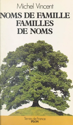 Noms de famille, familles de noms - Michel Vincent - Plon (réédition numérique FeniXX)