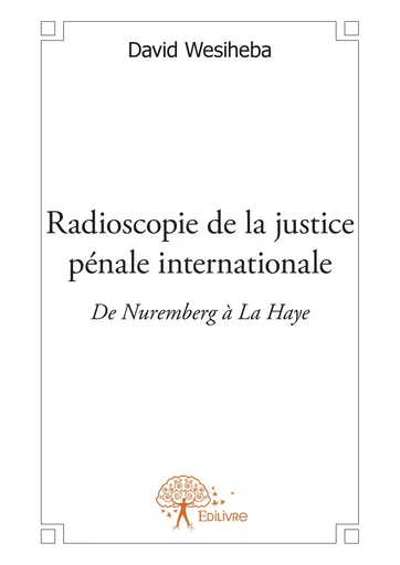 Radioscopie de la justice pénale internationale - David Wesiheba - Editions Edilivre