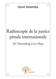 Radioscopie de la justice pénale internationale