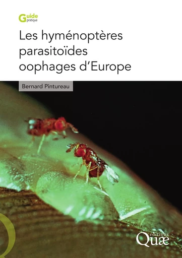 Les hyménoptères parasitoïdes oophages d'Europe - Bernard PINTUREAU - Quae