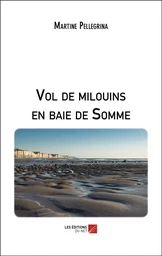 Vol de milouins en baie de Somme