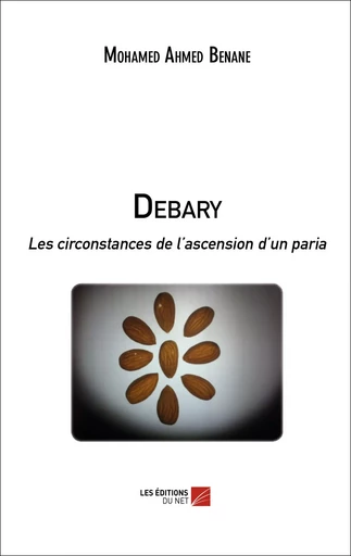 Debary - Mohamed Ahmed Benane - Les Éditions du Net