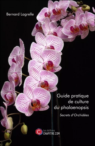 Guide pratique de culture du phalaenopsis - Bernard Lagrelle - Les Editions Chapitre.com