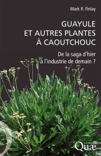 Guayule et autres plantes à caoutchouc - Finlay Mark R., Michelin Dominic - Quae