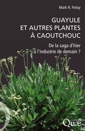 Guayule et autres plantes à caoutchouc