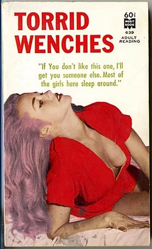 Torrid Wenches - Gabriel Kellgren - Disruptive Publishing